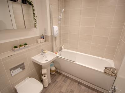 Picture 7